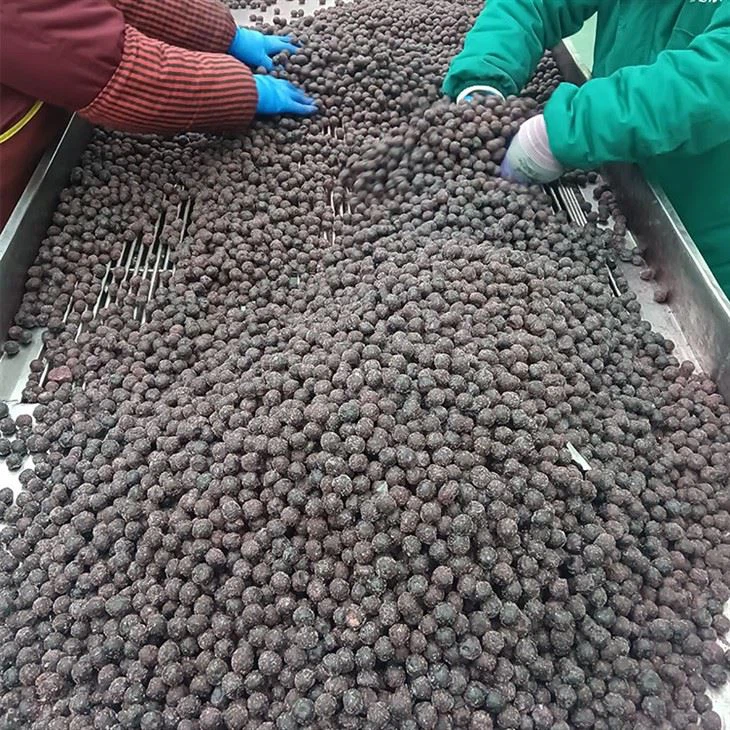IQF frozen blueberries