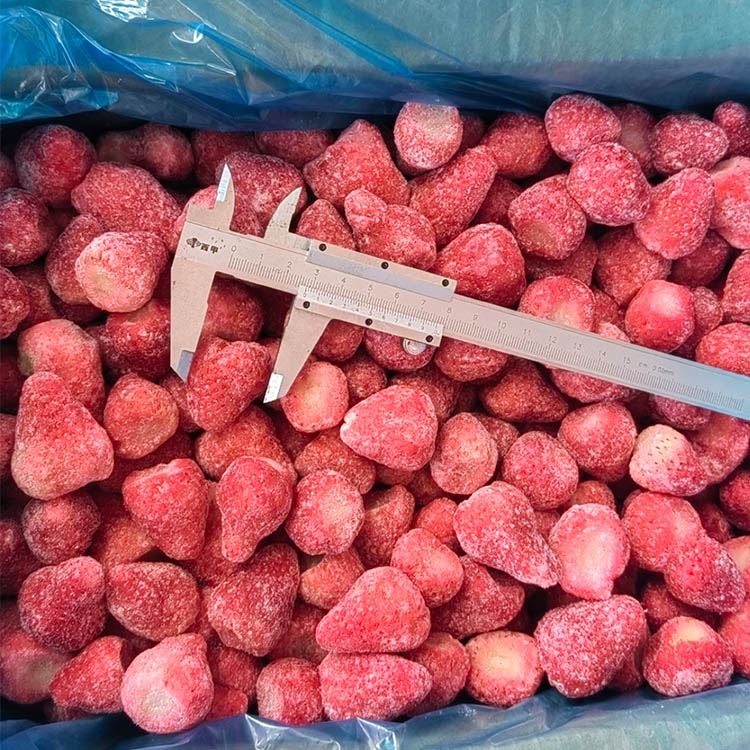 IQF whole strawberries in a lined bulk bag with measuring caliper