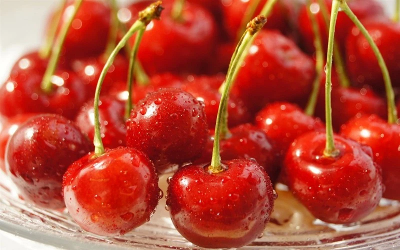 Frozen pitted cherries supplier for bakery desserts and fruit preparations Frozen pitted cherries supplier for bakery desserts and fruit preparations
