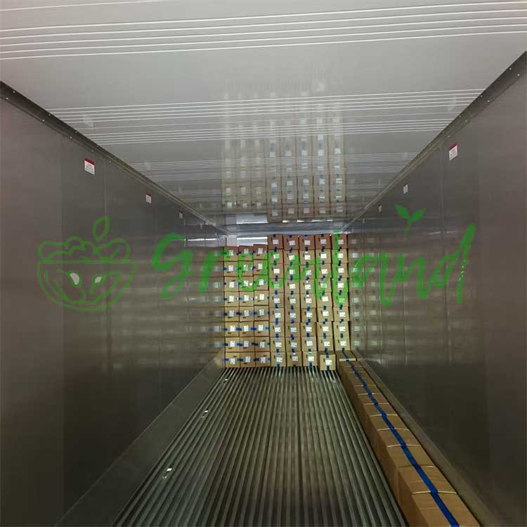 Frozen strawberry arrival inspection starts from container seal carton condition and cold chain records Frozen strawberry arrival inspection starts from container seal carton condition and cold chain records