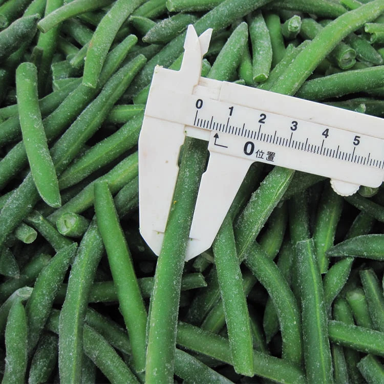 IQF Frozen Green Beans IQF Frozen Green Beans