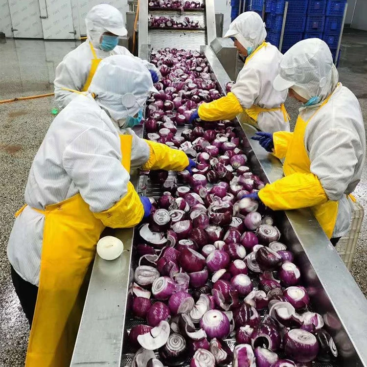 Frozen onion production Frozen onion production