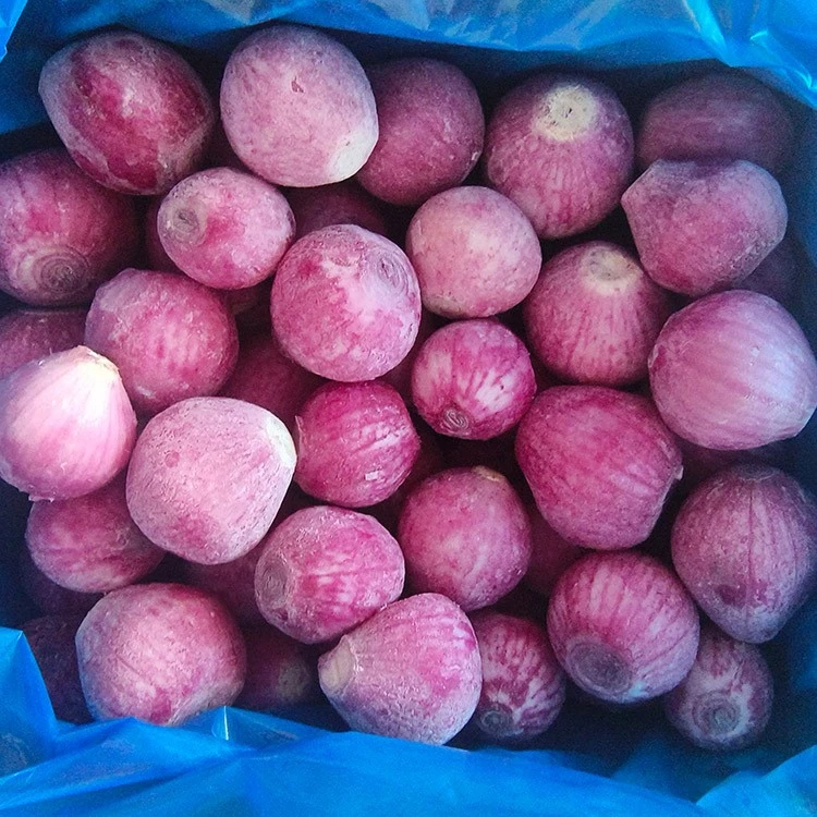 frozen red onion frozen red onion