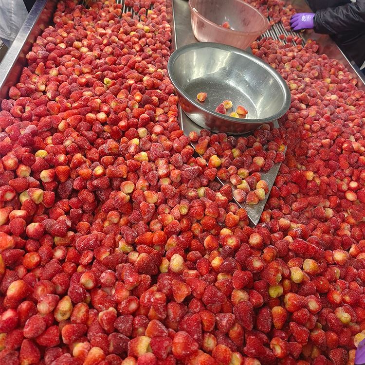 Fraises vraiment congelées
